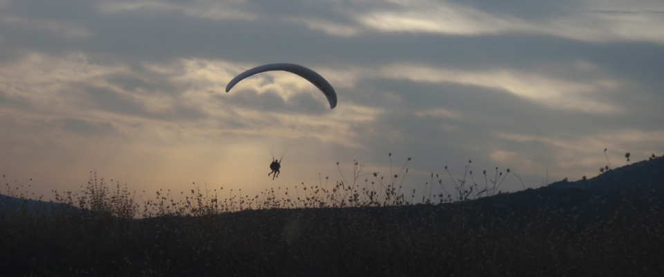 Picture of a paragliding